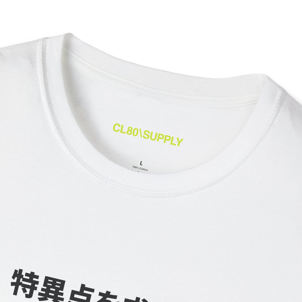 CL80\SUPPLY SEEK CL80\S-TS-079CV-SS\RUN01V1.0